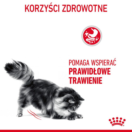Royal Canin Digestive Care 10kg Karma Sucha Dla Kotów Dorosłych Wspomagająca Przebieg Trawienia
