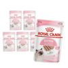 Royal Canin Kitten 6x85g Pełnoporcjowa Mokra Karma Dla Kociąt Do 12 Miesiąca Życia Pasztet