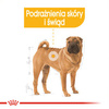 Royal Canin CCN Medium Dermacomfort 3kg Karma Sucha Dla Psów Dorosłych Ras Średnich O Wrażliwej Skórze Skłonnej Do Podrażnień