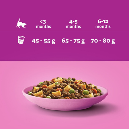 Whiskas Junior 6x1,4kg - Sucha Karma Pełnoporcjowa Dla Kociąt Z Pysznym Kurczakiem