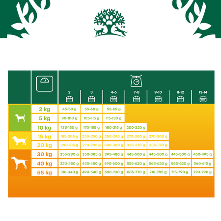 James Wellbeloved Junior 2kg Sucha Karma Dla Szczeniąt do 14 Miesięcy Bogata W Indyka I Ryż