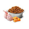 Farmina N&D Cat Pumpkin Quail & Pomegranate 1,5kg Sucha Karma Dla Kota z Przepiórką Dynią i Granatem