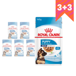 Royal Canin Maxi Puppy 6x140g Karma Mokra W Sosie Dla Szczeniąt Do 15 Miesiąca Życia Ras Dużych 3+3 GRATIS