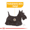 Royal Canin Dermacomfort Mini Karma Sucha Dla Psów O Wrażliwej Skórze 1kg + Pasztet 12x85g