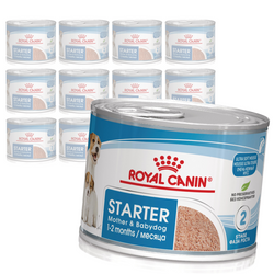 Royal Canin Starter Mousse Mother & Babydog 12x195g Karma Mokra Mus Dla Suk W Czasie Ciąży Laktacji I Szczeniąt