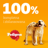 Pedigree Junior Wybór Smaków 40x100g Mokra Karma Dla Szczeniąt Wołowina Kurczak Jagnięcina Ryż W Galaretce