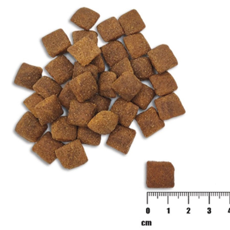 Raw Paleo Healthy Grain Adult Salmon Barley 2kg Sucha Karma z Łososiem Dla Psów Dorosłych