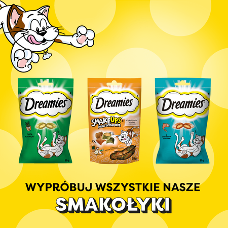 Dreamies Creamy 24x10g Kremowy Przysmak Dla Kota Z Serem I Z Kocimiętką