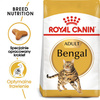Royal Canin FBN Bengal Adult 2kg Karma Sucha Dla Kotów Dorosłych Rasy Bengalskiej Powyżej 12 Miesiąca Życia