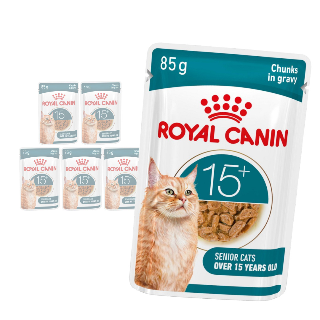 ROYAL CANIN Ageing 15+ karma mokra dla kotów dojrzałych.