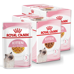 Royal Canin FHN Kitten Instinctive 24x85g Karma Mokra W Sosie i Galaretce Dla Kociąt Do 12 Miesiąca Życia