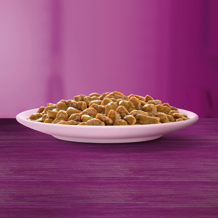 WHISKAS Junior Saszetka 85g Mokra Karma Dla Kociąt Kawałki z Kurczakiem w Galaretce