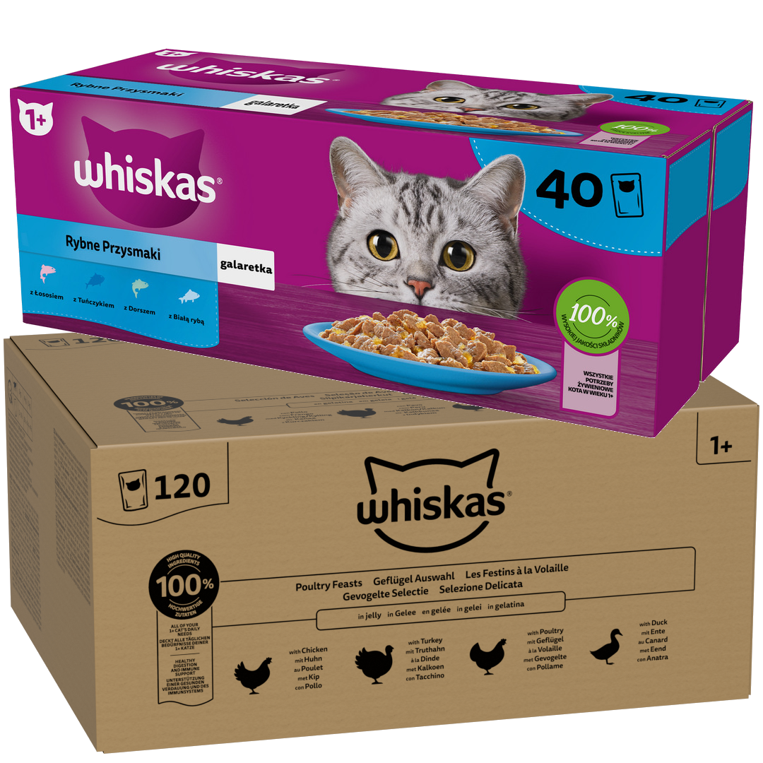 Whiskas Adult 160x85g Mokra Karma Dla Dorosłego Kota Drobiowa Uczta Rybne Przysmaki w Galaretce