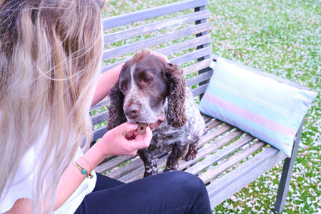 Pedigree Multivitamins Dbałość o Stawy 180g Karma Uzupełniająca Dla Dorosłych Psów o Smaku Kurczaka