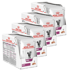 Royal Canin Veterinary Renal 48x85g Pełnoporcjowa Mokra Karma Pasztet Dla Kotów Z Niewydolnością Nerek Zapobiega Powstawaniu Kamieni