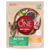 Purina One Mini Active 2x800g Sucha Karma Dla Psów Małych Ras Z Kurczakiem I Ryżem