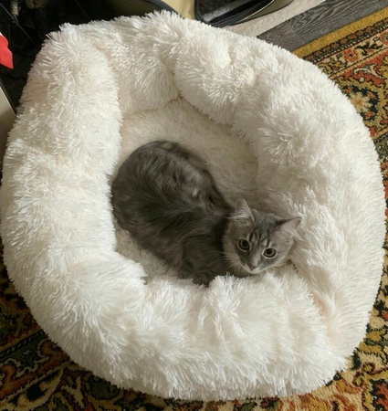 Legowisko Dla Psa I Kota Pluszowe 3XL 110cm Ciepłe Białe