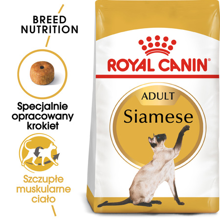 Royal Canin FBN Siamese Adult 2kg Karma Sucha Dla Kotów Dorosłych Rasy Syjamskiej
