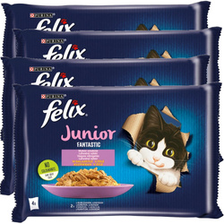 Felix Fantastic Junior Karma Dla Kociąt Wybór Smaków W Galaretce 4x340g (16x85g) Kurczak I Łosoś