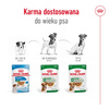Royal Canin Mini Ageing 85g Karma Mokra Kawałki W Sosie Dla Psów Dojrzałych Po 8 Roku Życia Ras Małych