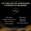 Purina Pro Plan Veterinary Diets NF Renal Function Advanced Care Sucha Karma Dla Kota 350g Niewydolność Nerek