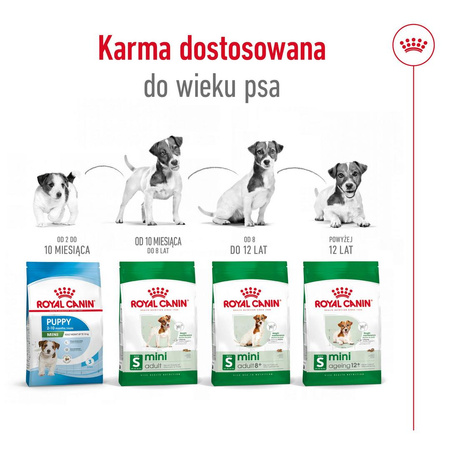 Royal Canin SHN Mini Adult 12+ 800g Karma Sucha Dla Psów Dojrzałych Po 12 Roku Życia Ras Małych