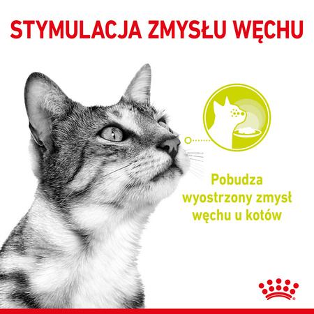 ROYAL CANIN Sensory Smell Gravy 85g Mokra Karma Dla Kotów Wybrednych