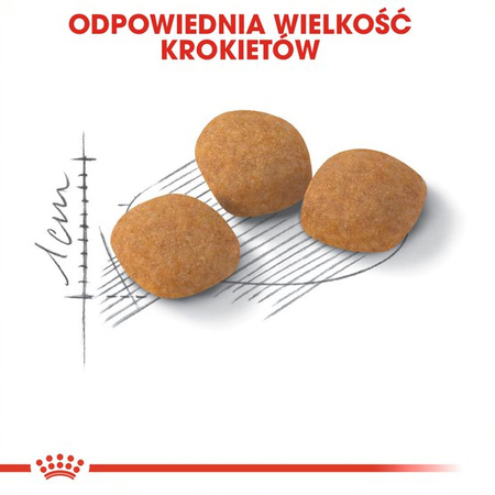 Royal Canin Exigent Protein Preference 2kg Karma Sucha Dla Kotów Dorosłych Wybrednych Kierujących Się Zawartością Białka
