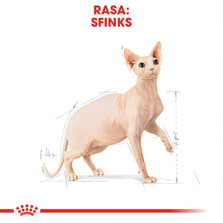 ROYAL CANIN Sphynx Adult 10kg karma sucha dla kotów dorosłych rasy sfinks
