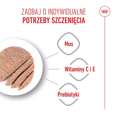 Royal Canin Starter Mousse Mother & Babydog 12x195g Karma Mokra Mus Dla Suk W Czasie Ciąży Laktacji I Szczeniąt