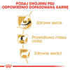 Royal Canin BHN Cavalier King Charles Spaniel Adult 1,5kg Karma Sucha Dla Psów Dorosłych Rasy Cavalier King Charles Spaniel