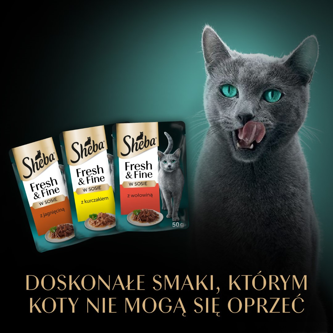 Sheba Fresh&Fine 6x50g  Mokra Karma Dla Kotów W Sosie Z Wołowiną  Kurczakiem Jagnięciną