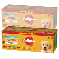 Pedigree Junior Wybór Smaków 80x100g Mokra Karma Dla Szczeniąt Wołowina Kurczak Jagnięcina Ryż W Galaretce