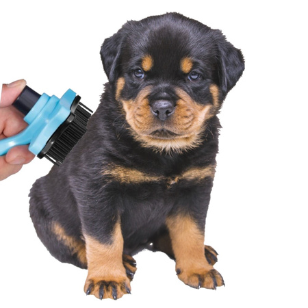 Samoczyszcząca Szczotka Dla Psa Kota Niebieska