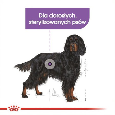 Royal Canin Maxi Sterilised Karma Sucha Dla Psów Sterylizowanych Ras Dużych 3kg + Pasztet 12x85g