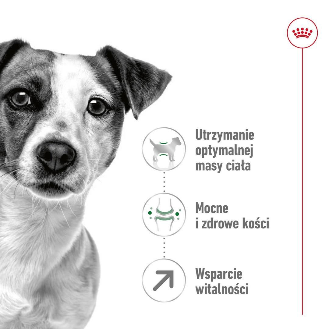 Karma Sucha Dla Psów Starszych Od 8 Do 12 Roku Życia Ras Małych