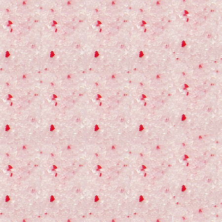 Super Benek CRYSTAL COMPACT NATURALNY 13 kg - Silikonowy Żwirek dla Kociej Toalety, Bezzapachowy