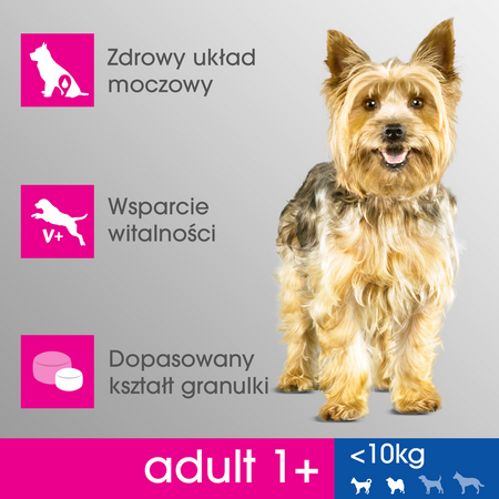 Perfect Fit (adult 1+) 6x825g Bogaty W Kurczaka Sucha Karma Dla Dorosłych Psów Małych Ras
