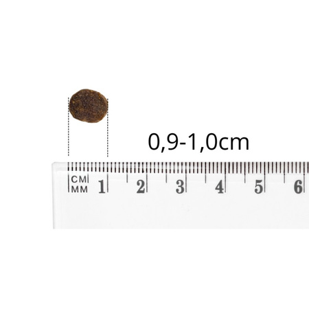 Baltica Adult Jagnięcina z Ryżem XS/S 12kg Hipoalergiczna Sucha Karma Dla Psów Miniaturowych i Małych Ras