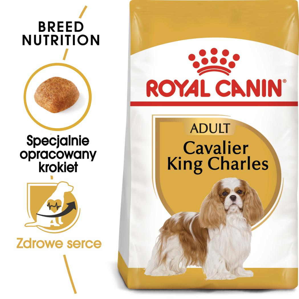 Royal Canin BHN Cavalier King Charles Spaniel Adult Karma Sucha