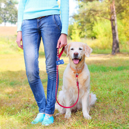 Pojemnik Z Woreczkami Na Odchody Dla Psa Zielony