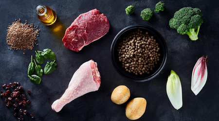 John Dog Adult 3kg Sucha Karma dla psów Małych ras Indyk z Wołowiną