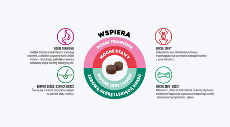 John Dog GOOD FORM PUPPY Wieprzowina z Wołowiną 12kg - sucha karma dla szczeniąt KSIĄŻKA GRATIS