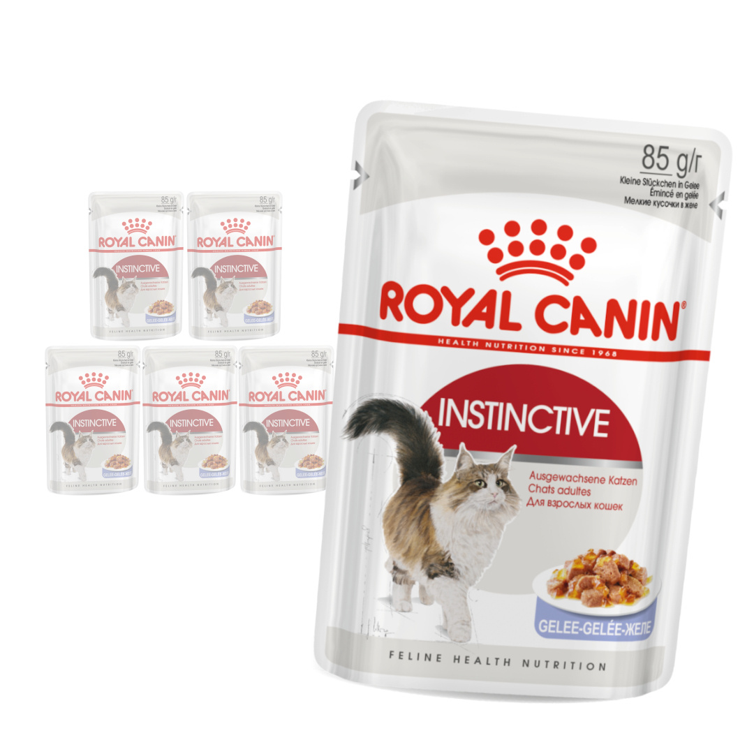 Royal Canin Instinctive FHN Karma Mokra W Galaretce Dla Kota