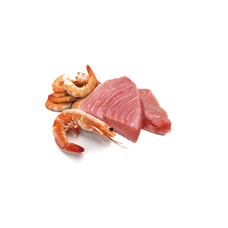 Farmina N&D Cat Ocean Tuna & Shrimp 12x70g Mokra Karma Dla Kota Tuńczyk Krewetki