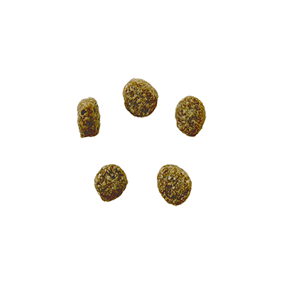 Bozita Robur Mother & Puppy 30/15 - 14kg