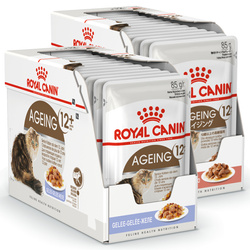 Royal Canin FHN Ageing +12 w Sosie i Galaretce 24x85g Mokra Karma Dla Kotów Starszych