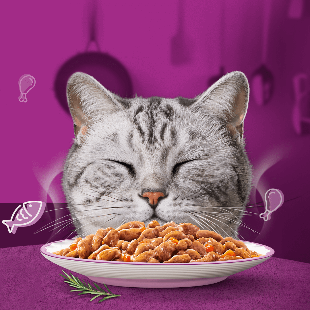 Whiskas Saszetki Aromatyczna Mieszanka