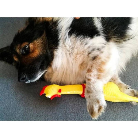 Mr Bandit Legowisko Śpiulkolot Dla Psa Szary M 55x45x14