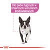 Royal Canin CCN Relax Care 85g Karma Mokra Pasztet Dla Psów Dorosłych Narażonych Na Działanie Stresu
